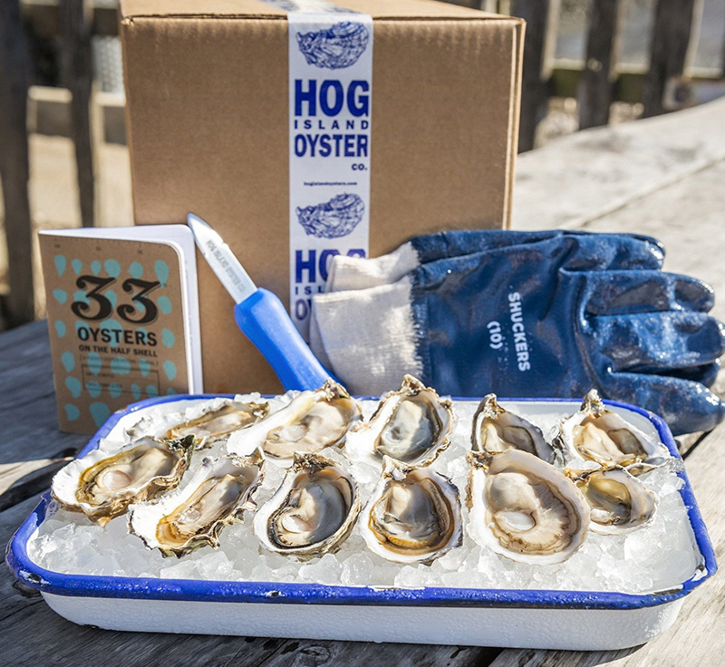 oyster