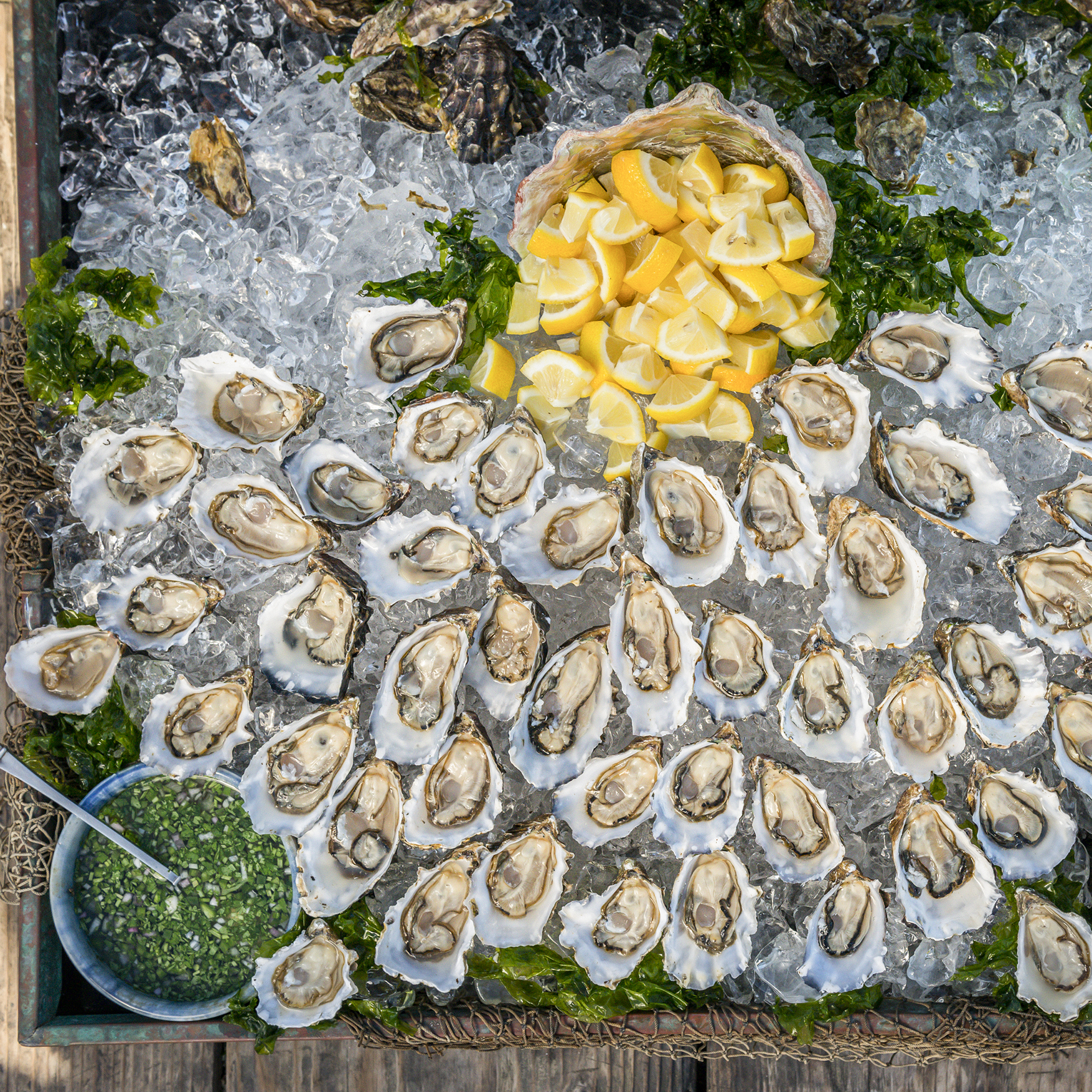 Hog Island Catering and Traveling Oyster Bars - Hog Island Oyster Co.