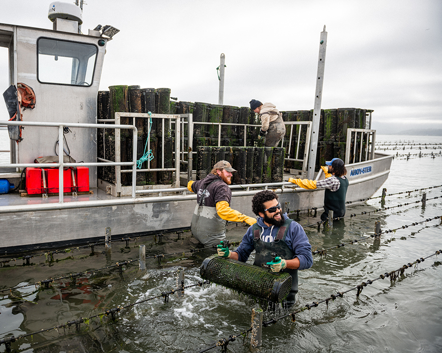 Humboldt Bay-farm crew-hio humboldt-2025_DSC_1055