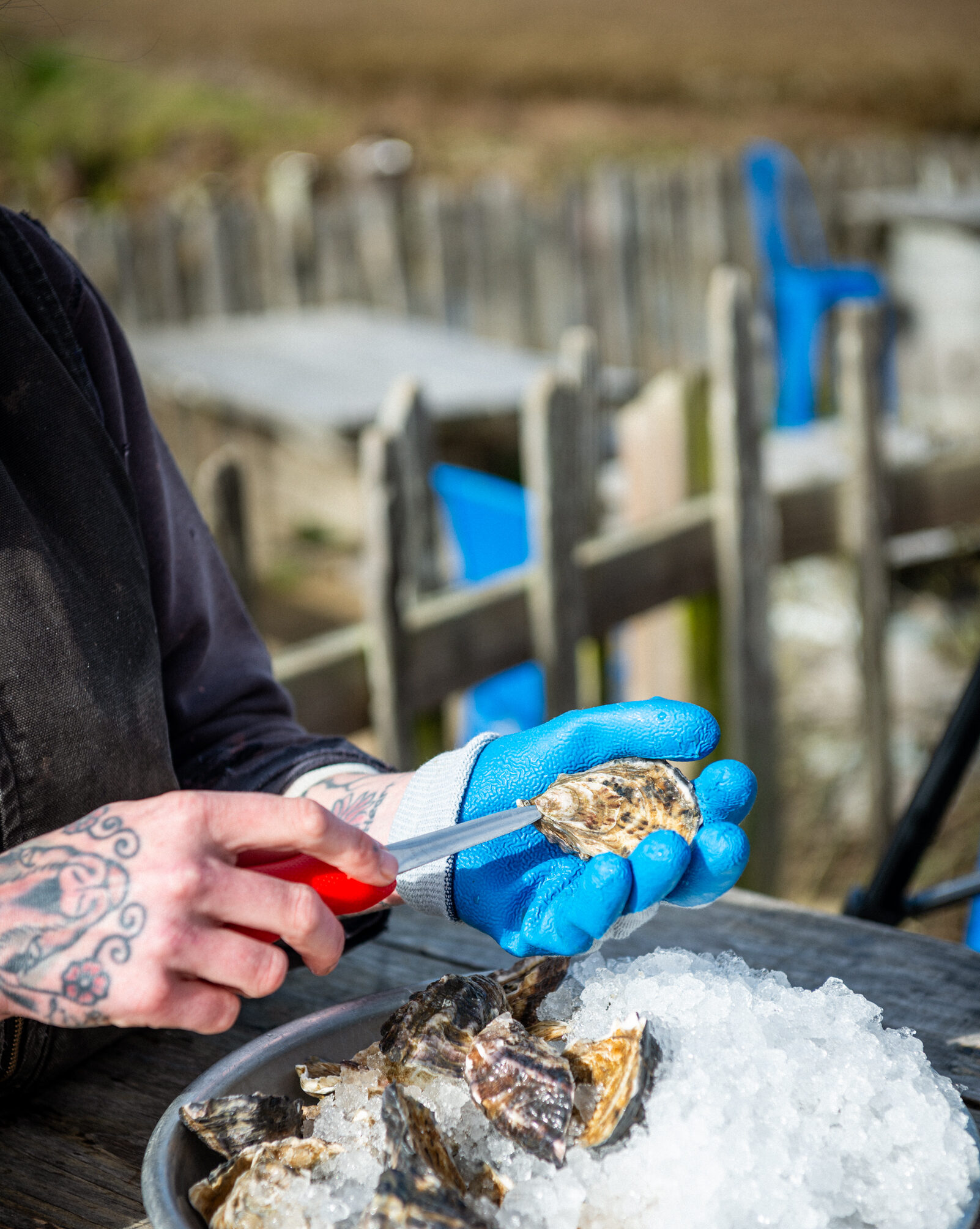 oysters-how to shuck-6109 oyster