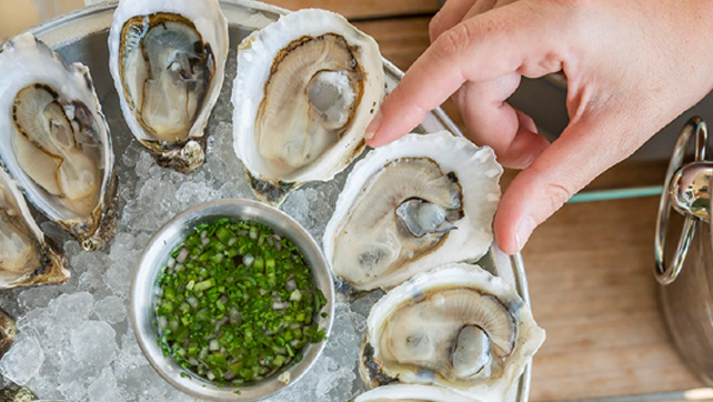 Oysters From Our Own Farms Oysters From Our Own Farms